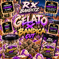 Gelato XBandica Cut