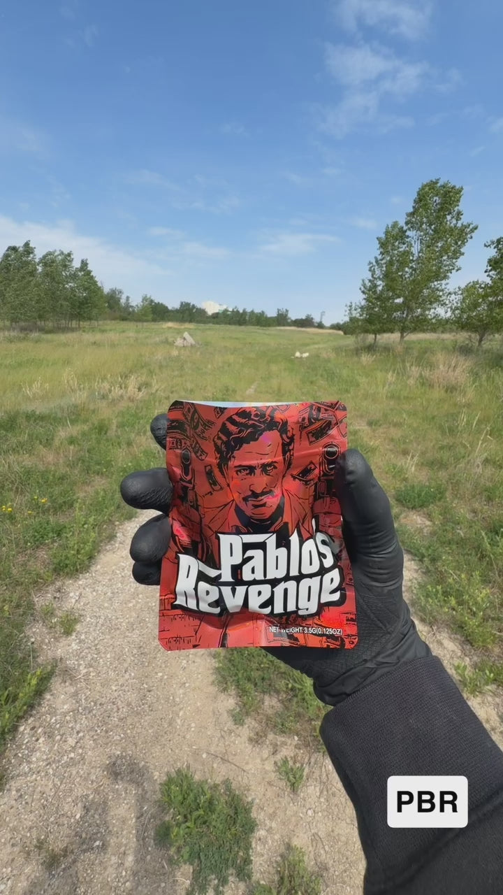 Pablo Revenge