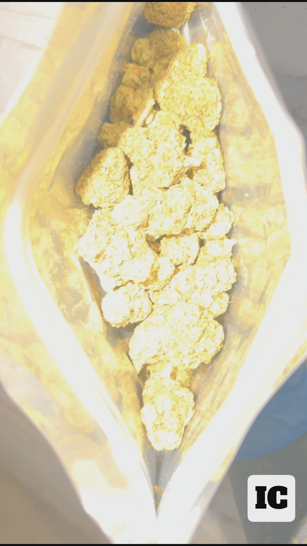 Garlic Kush
