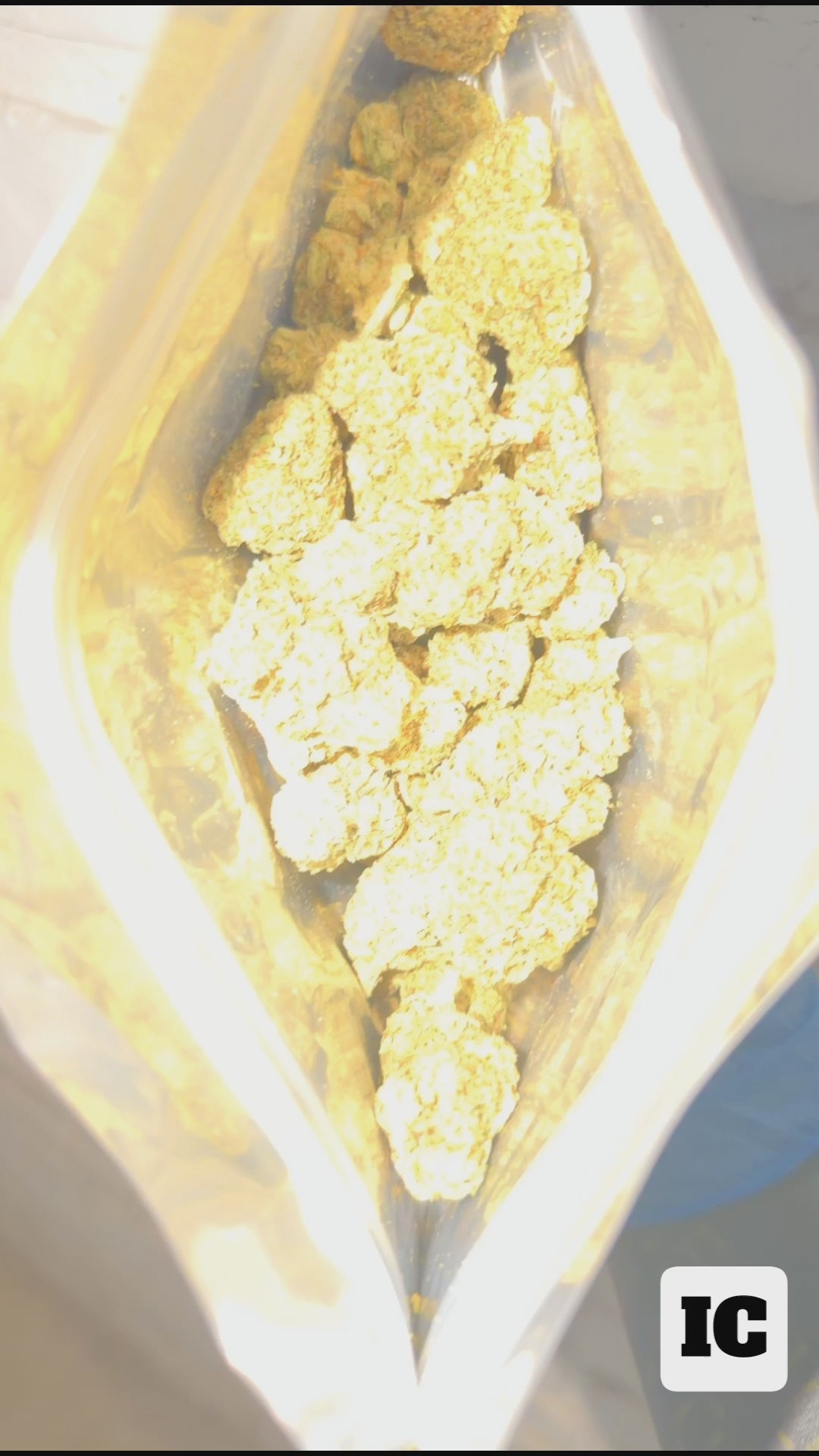 Garlic Kush